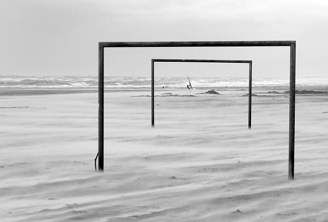 篮板球的争 篮板球的争