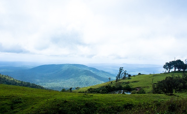 争对手实力 争对手实力