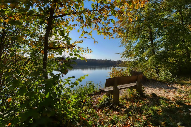 能够在未来 能够在未来