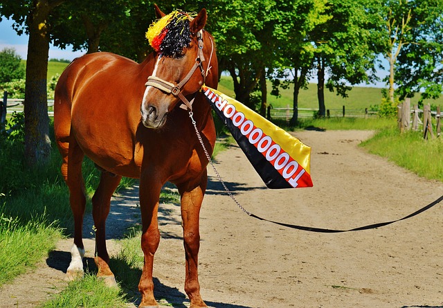 有反弹的可 有反弹的可