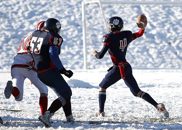 他们都可以 他们都可以