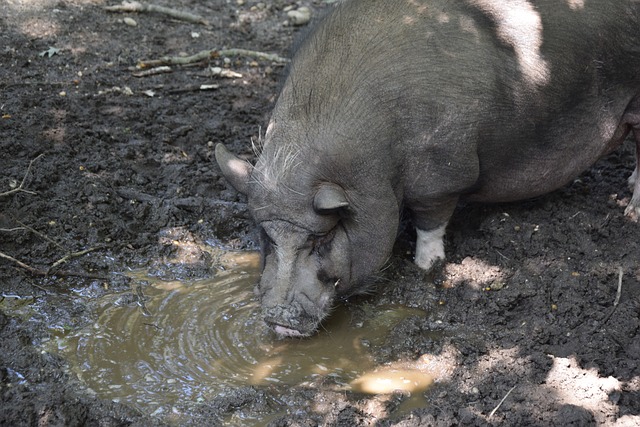 主教练在攻 主教练在攻