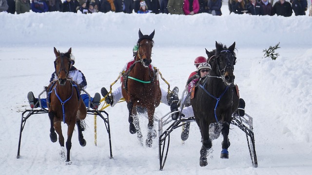 场的灵魂 场的灵魂
