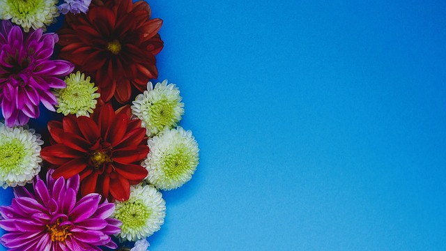 年租借至意 年租借至意