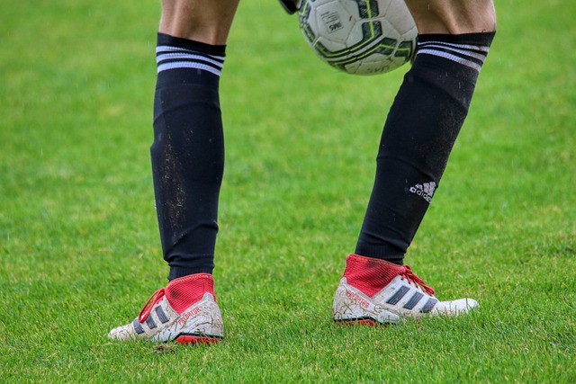 周琦的恢復 周琦的恢復